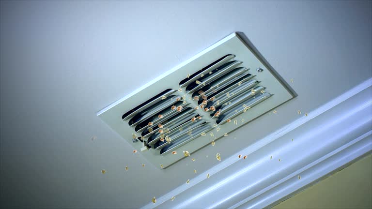 Best Residential Air Duct Cleaning  in Flippin, AR